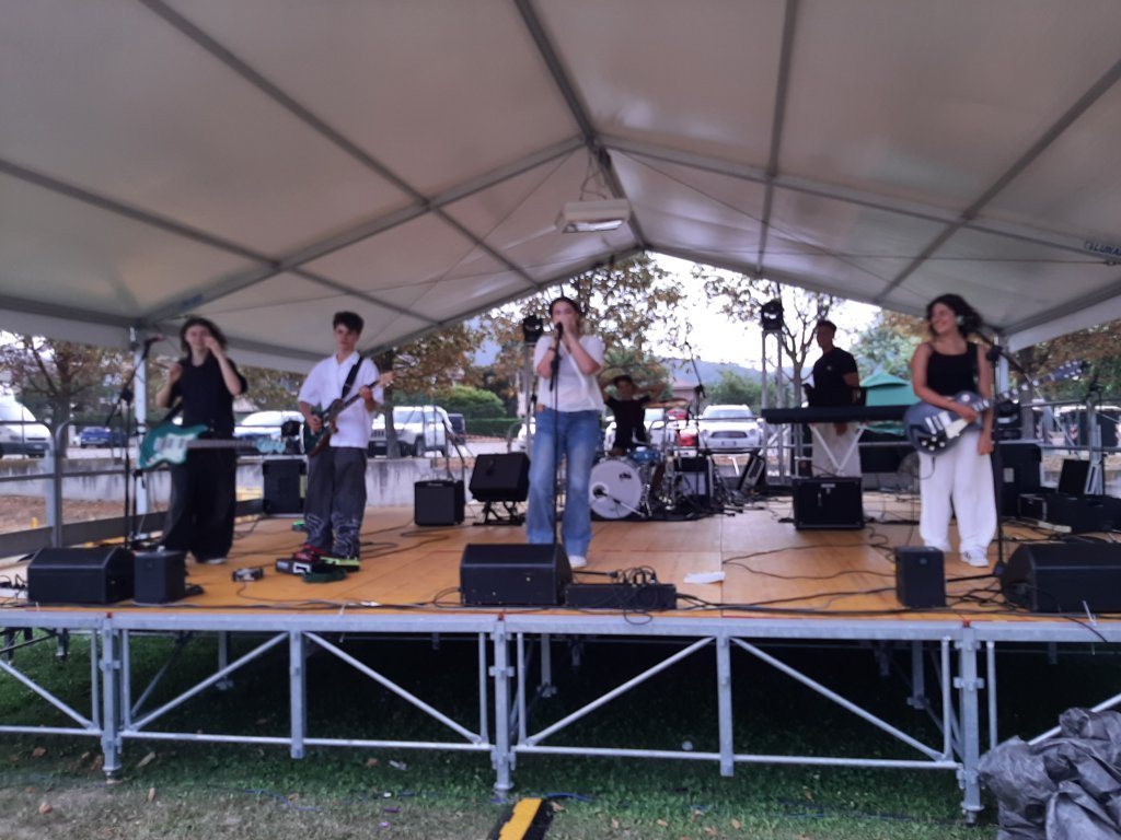 Piccolo concerto con pubblico seduto in un salone di comunità